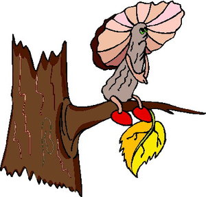 Cliparts Bloemen en planten Paddestoelen 