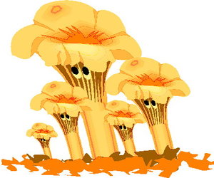 Cliparts Bloemen en planten Paddestoelen 