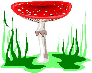 Cliparts Bloemen en planten Paddestoelen 