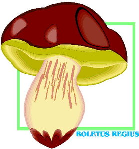 Cliparts Bloemen en planten Paddestoelen 