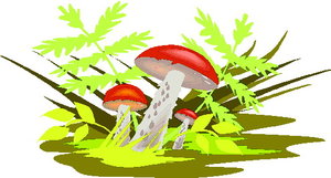 Cliparts Bloemen en planten Paddestoelen Bloemstuk Herfststuk Paddestoelen 