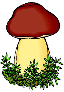 Cliparts Bloemen en planten Paddestoelen 