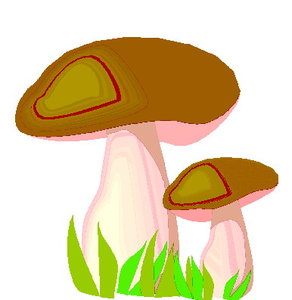 Cliparts Bloemen en planten Paddestoelen 