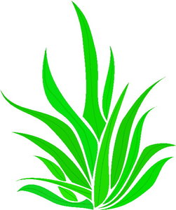 Cliparts Bloemen en planten Planten 