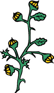 Cliparts Bloemen en planten Planten 
