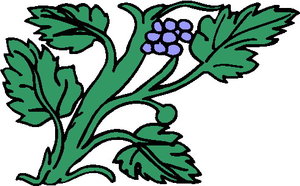 Cliparts Bloemen en planten Planten 