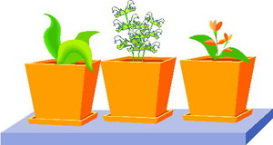 Cliparts Bloemen en planten Planten 