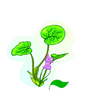 Cliparts Bloemen en planten Planten 
