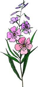 Cliparts Bloemen en planten Planten 