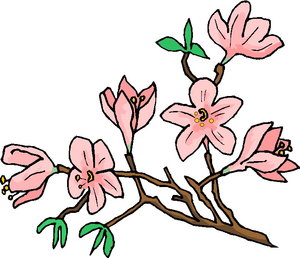 Cliparts Bloemen en planten Planten 