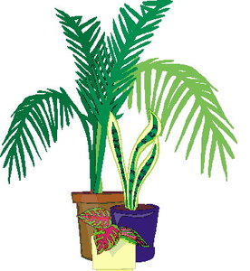 Cliparts Bloemen en planten Planten 