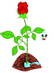 Cliparts Bloemen en planten Rozen 
