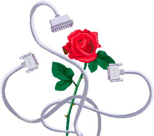 Cliparts Bloemen en planten Rozen 