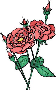 Cliparts Bloemen en planten Rozen 