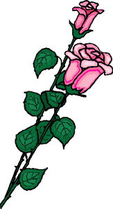 Cliparts Bloemen en planten Rozen 