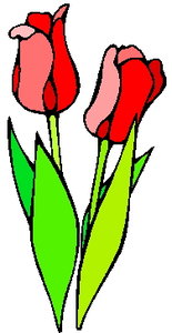Cliparts Bloemen en planten Voorjaarsbloemen Rode Roze Tulp