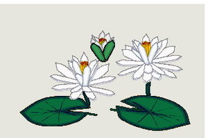Cliparts Bloemen en planten Waterlelie 