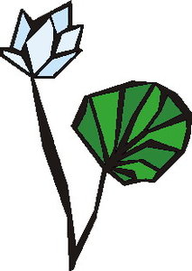 Cliparts Bloemen en planten Waterlelie Witte Waterlelie
