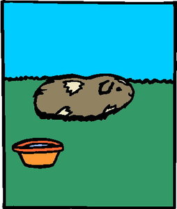 Cliparts Boerderij Cavia 