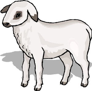 Cliparts Boerderij Schapen 