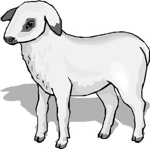 Cliparts Boerderij Schapen 