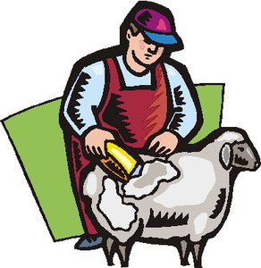 Cliparts Boerderij Schapen 