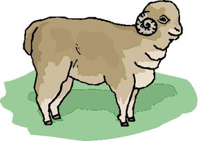 Cliparts Boerderij Schapen 