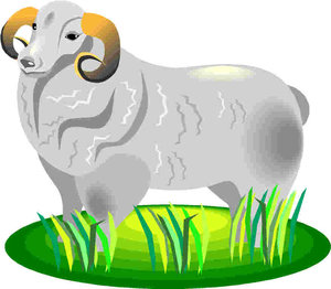 Cliparts Boerderij Schapen Ram In Het Gras