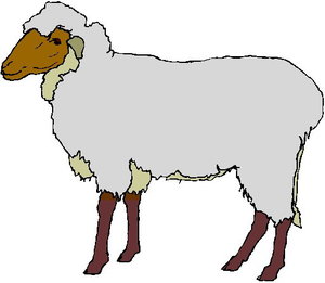 Cliparts Boerderij Schapen 