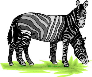Cliparts Boerderij Zebra 