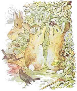 Cliparts Cartoons Beatrix potter 