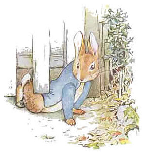 Cliparts Cartoons Beatrix potter Konijn Dat Onder De Schutting Door Kruipt