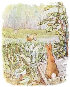 Cliparts Cartoons Beatrix potter 