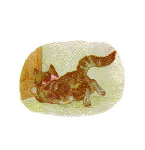 Cliparts Cartoons Beatrix potter 