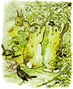 Cliparts Cartoons Beatrix potter Konijntjes