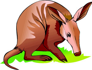 Dieren Cliparts Aardvarken 