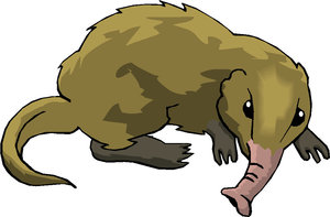 Dieren Cliparts Aardvarken 