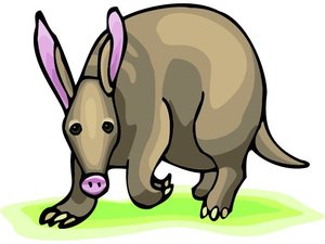 Dieren Cliparts Aardvarken 