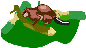 Dieren Cliparts Bevers 