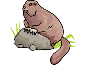 Dieren Cliparts Bevers 