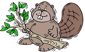 Dieren Cliparts Bevers 