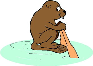 Dieren Cliparts Bevers 