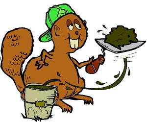 Dieren Cliparts Bevers 