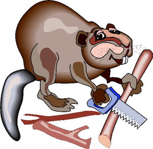 Dieren Cliparts Bevers 