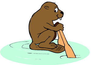 Dieren Cliparts Bevers 