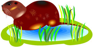 Dieren Cliparts Bevers 