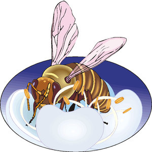 Dieren Cliparts Bijen 