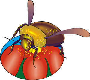 Dieren Cliparts Bijen 