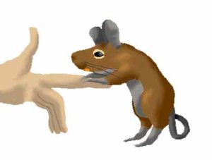 Dieren Cliparts Degoes 