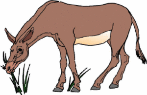 Dieren Cliparts Ezels 